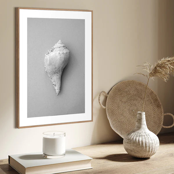 Shell