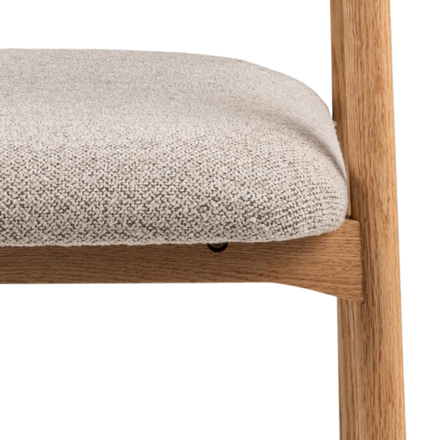 Addi Dining Chair with Armrest