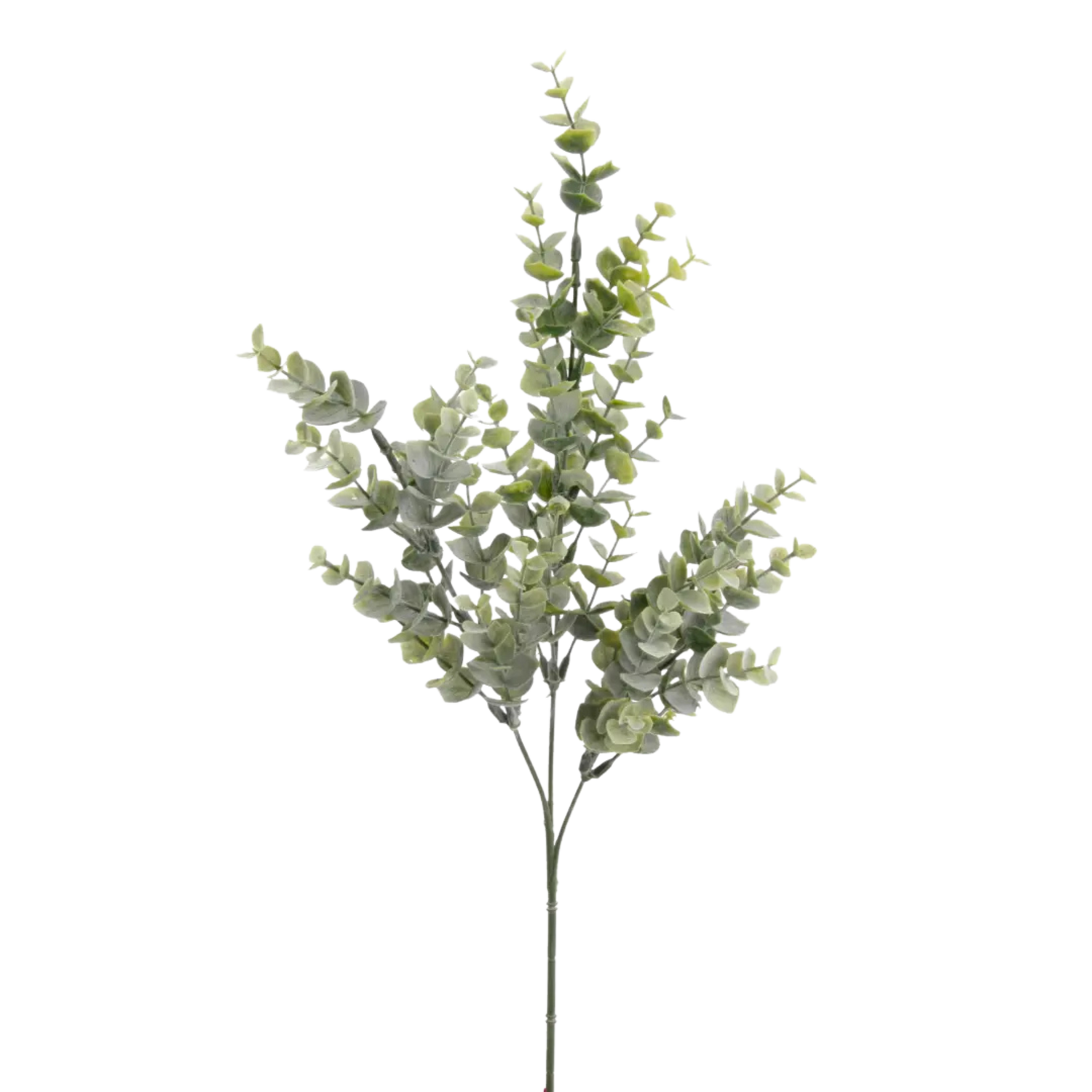 Eucalyptus Bridge Spray