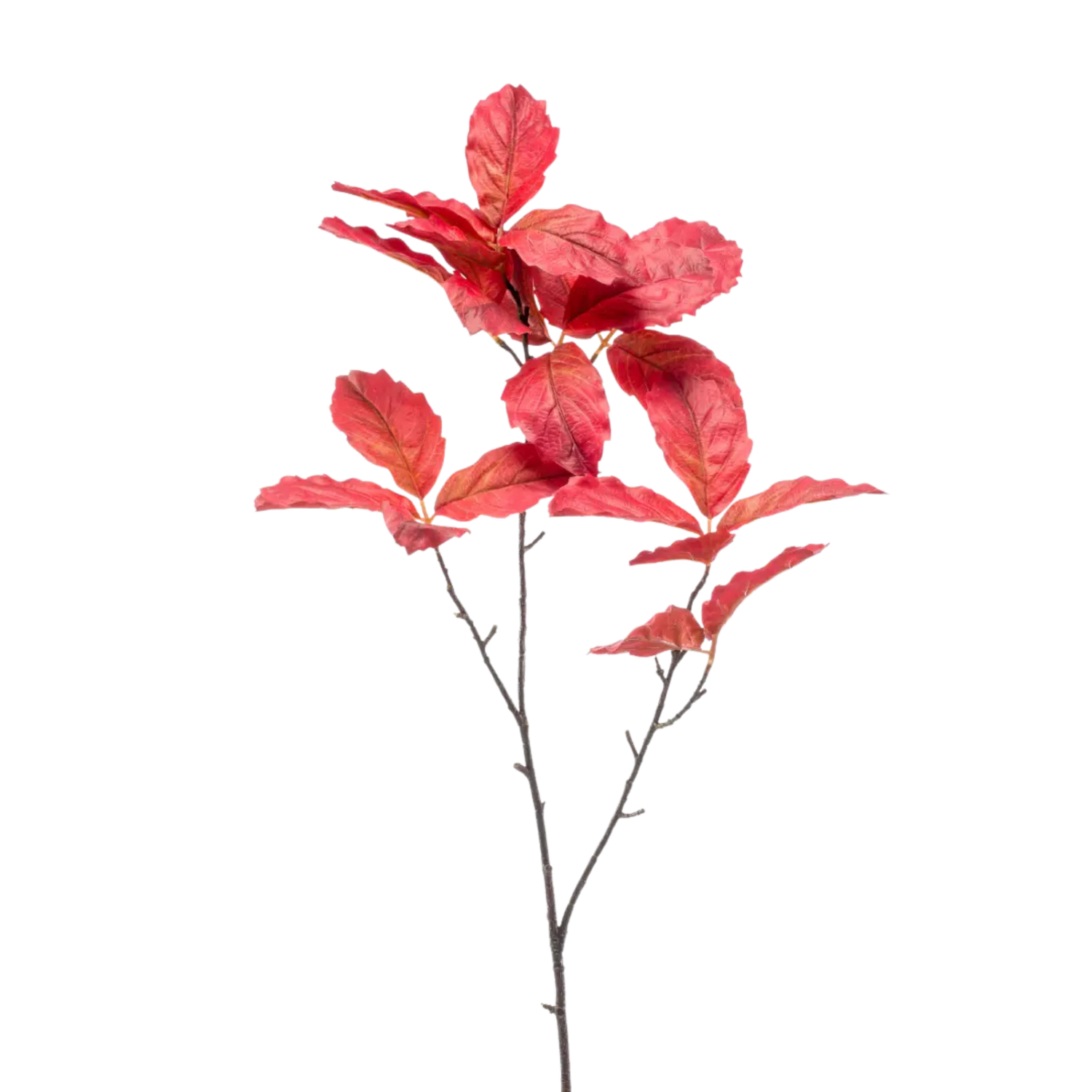 Chestnut Leaf Spray Red