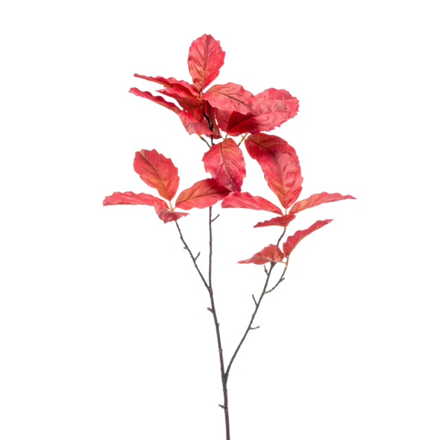 Chestnut Leaf Spray Red