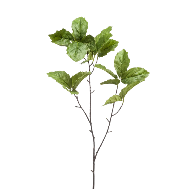 Chestnut Leaf Spray Green