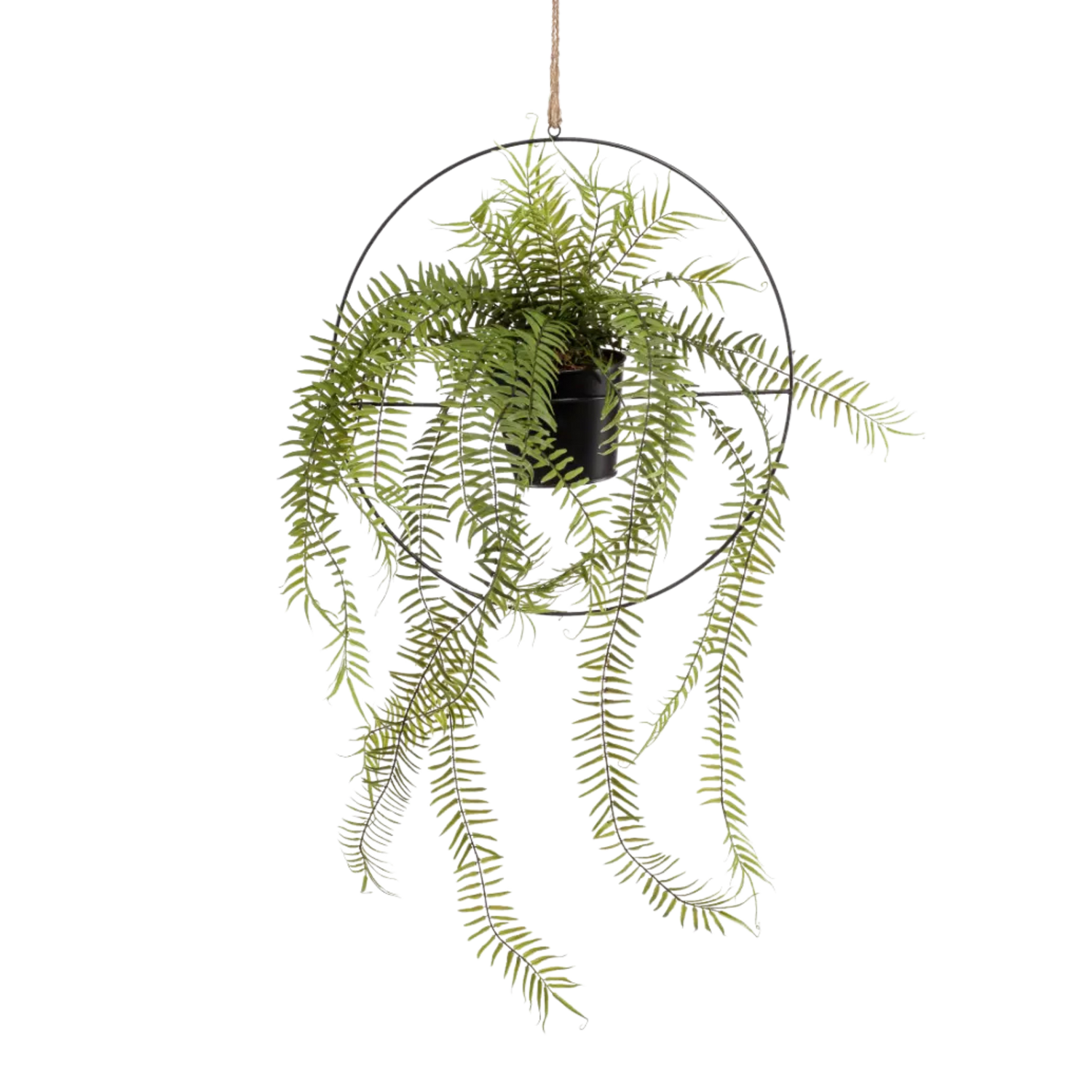 Fern in Metal Hanging Ring