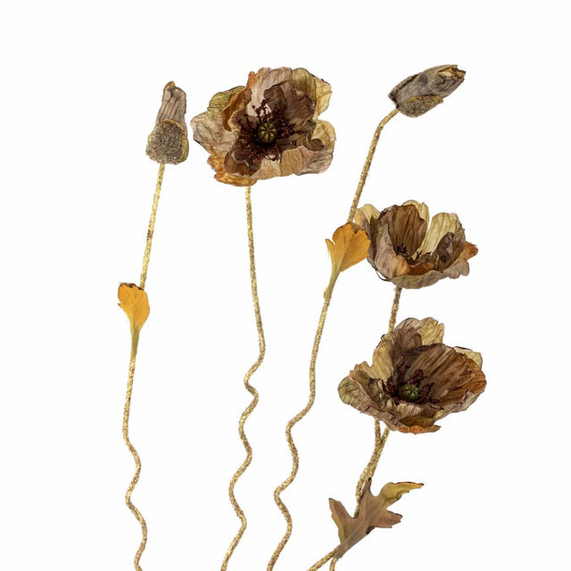 Poppy Stem