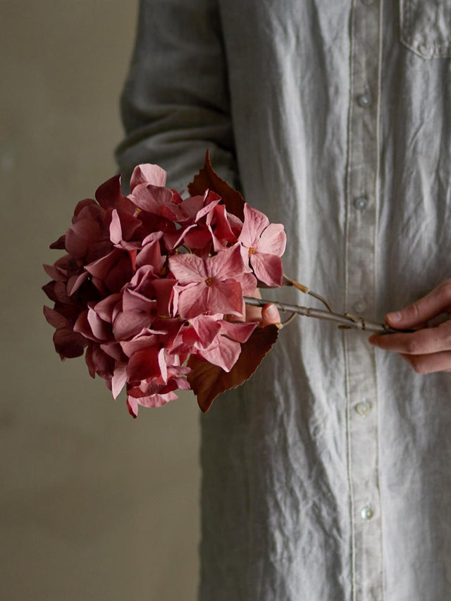 Hydrangea Stem