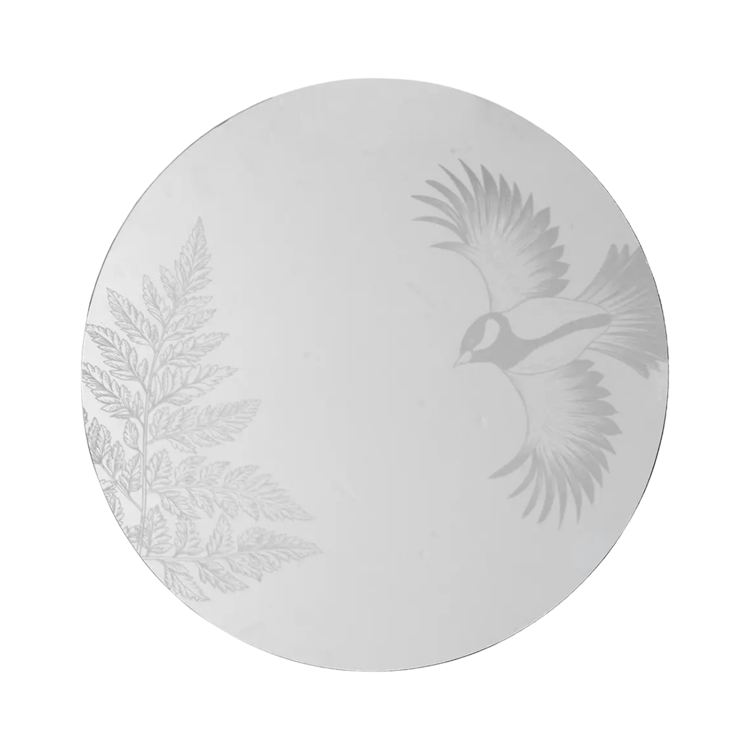 Bird Mirror
