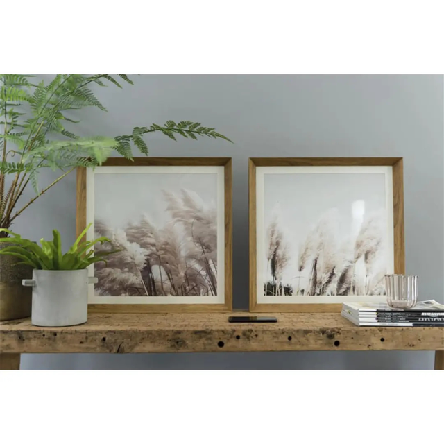 Painting Pampas Set of 2