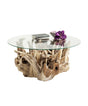 Coffee Table Roots