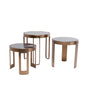 Coffee Table Perelli Brass Set of 3