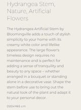 Hydrangea Stem