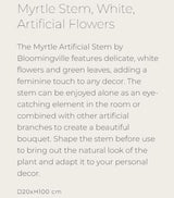 Myrtle Stem