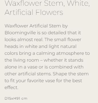 Waxflower Stem