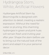 Hydrangea Stem