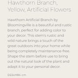Hawthorn Branch