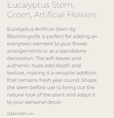 Eucalyptus Stem