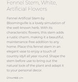 Fennel Stem