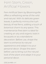 Fern Stem