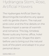 Hydrangea Stem