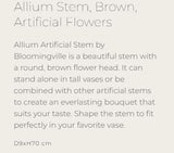 Allium Stem