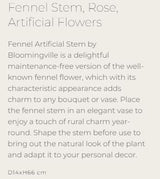 Fennel Stem