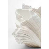 Deco Vase Concha