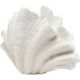 Deco Vase Concha