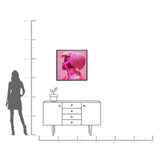 Framed Picture LED Pink Woman