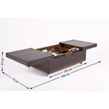 Coffee Table Bar Globetrotter