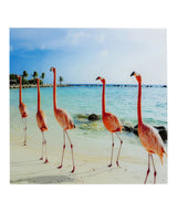 Picture Glass Flamingo Walk 80x80cm KARE