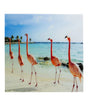 Picture Glass Flamingo Walk 80x80cm KARE