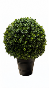 BOXWOOD BALL UV 27CM