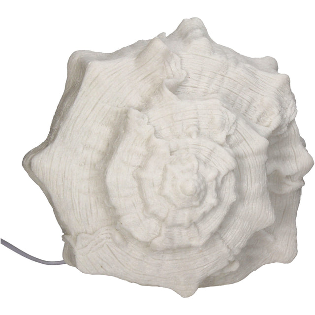 Table Lamp Shell Sandstone Ivory