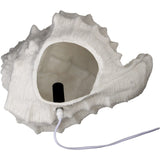 Table Lamp Shell Sandstone Ivory