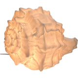 Table Lamp Shell Sandstone Ivory