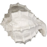 Table Lamp Shell Sandstone Ivory