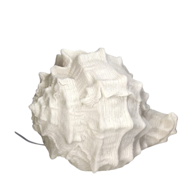 Table Lamp Shell Sandstone Ivory