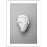 Oyster 2