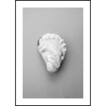 Oyster 2
