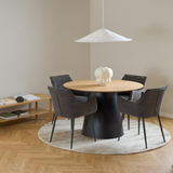 Bonita Dining Chair with Armrest