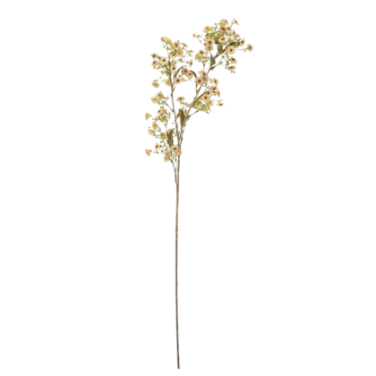 Waxflower Stem