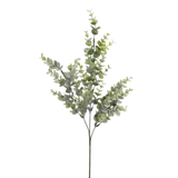 Eucalyptus Bridge Spray