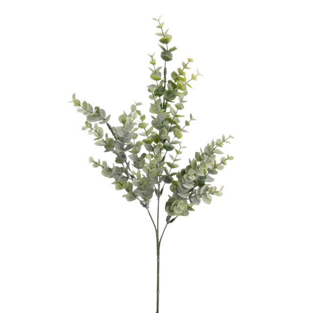 Eucalyptus Bridge Spray