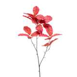 Chestnut Leaf Spray Red