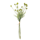 Wildflower Stem