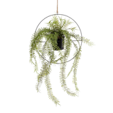 Fern in Metal Hanging Ring