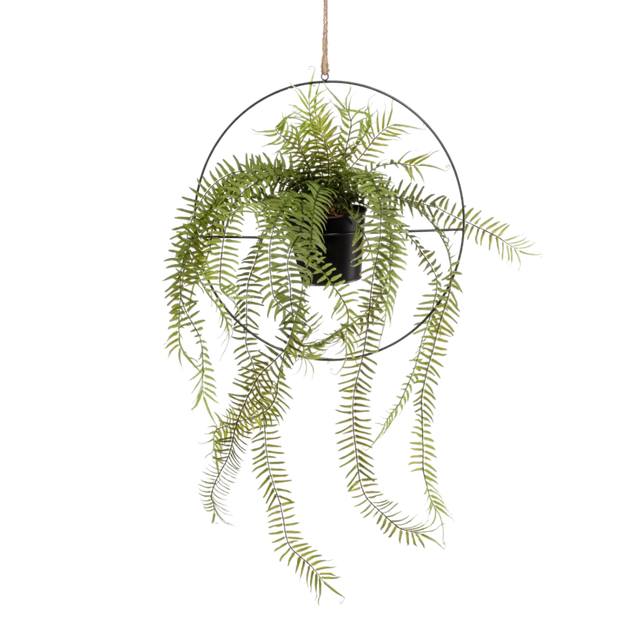 Fern in Metal Hanging Ring
