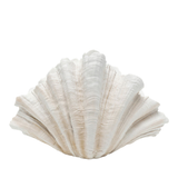 Deco Vase Concha