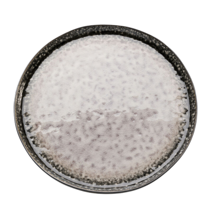 Plate Soho Grey Ø27cm