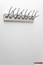 Coat Rack Huntsman Horns