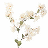 Myrtle Stem